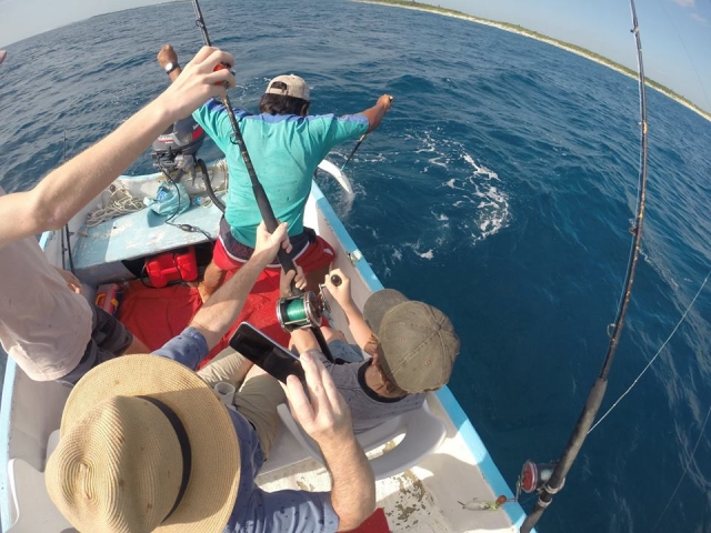 pescando ejemplares